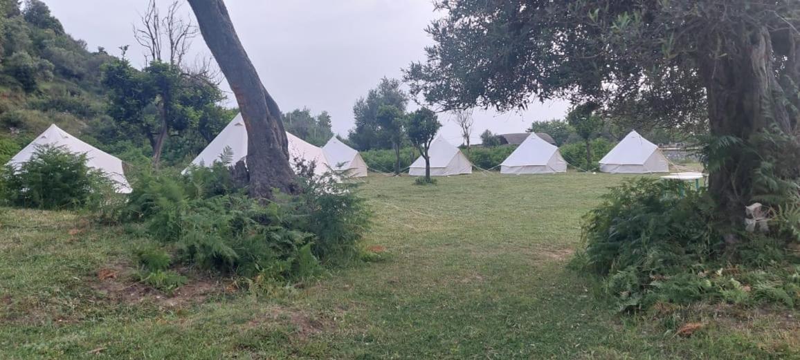 Riverside Bunec Camping Piqeras Bagian luar foto